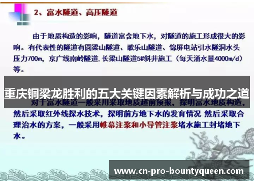 重庆铜梁龙胜利的五大关键因素解析与成功之道