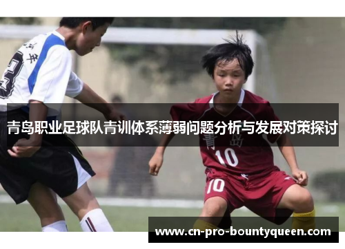 青岛职业足球队青训体系薄弱问题分析与发展对策探讨