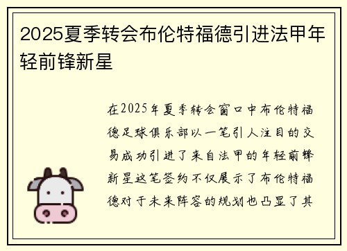 2025夏季转会布伦特福德引进法甲年轻前锋新星 2025夏季转会布伦特福德引进法甲年轻前锋新星