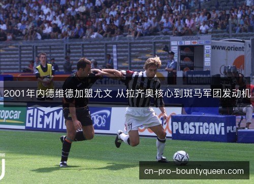 2001年内德维德加盟尤文 从拉齐奥核心到斑马军团发动机 2001年内德维德加盟尤文 从拉齐奥核心到斑马军团发动机